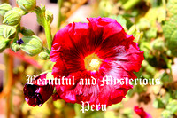 Peru - 1 - Beautiful & Mysterious Peru