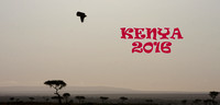 Kenya - 2016