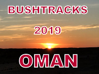 Oman - 2019