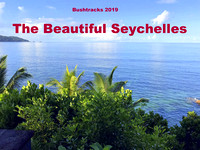 Seychelles - 2019